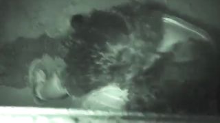 Лесбиянка после вечеринк отлизала и подрочила подруге у стены